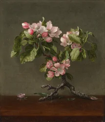Fiori di melo, 1873