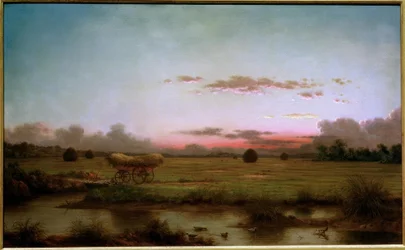 Le paludi di Rhode Island