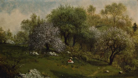 Ragazza su una collina, fiori di melo