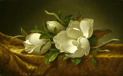 Magnolie su tessuto di velluto dorato