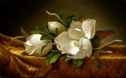 Magnolie su tela di velluto dorato