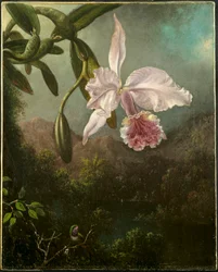 Fiori di orchidea, 1873
