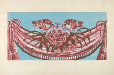 Design per scatola di cartone