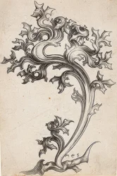 Ornamento fogliare di un cardo