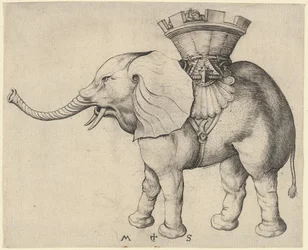 Elefante