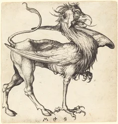 Il grifone