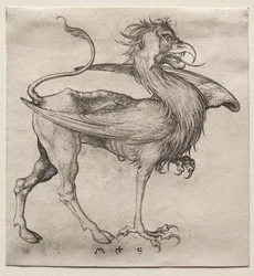 Il grifone