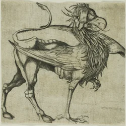Il Grifone