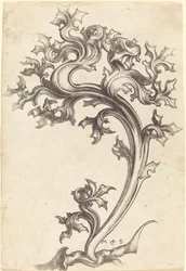 Ornamento di cardo