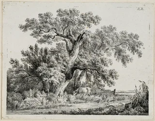 Paesaggio