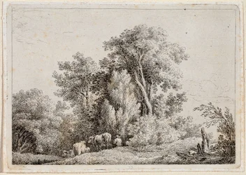Paesaggio