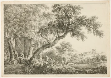 Viandante che riposa nella foresta