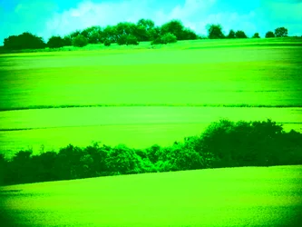 Paesaggio Verde