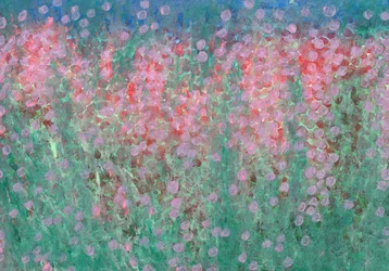 Punti e fiori