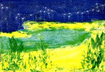 Cielo stellato sul lago