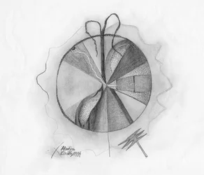 Studio grafite rasoio albero (omaggio a Joseph Beuys)