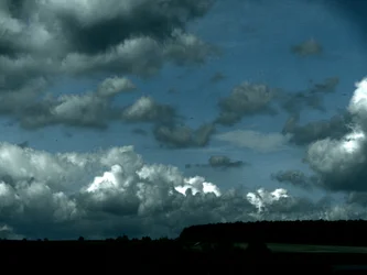 Tempesta