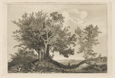 Strada di campagna tra due filari di alberi