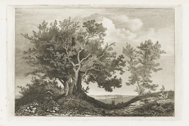Strada di campagna tra due filari di alberi