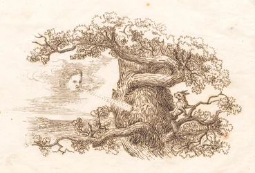 Illustrazione per "Cinquanta favole per bambini" di Hey