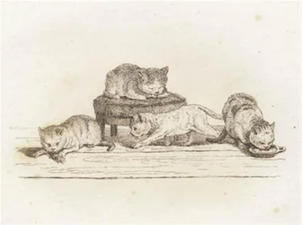 Illustrazione per "Halvhundrede Fabler for Børn" di Hey