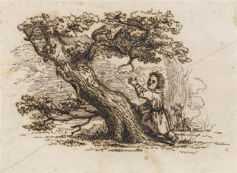 Illustrazione per "Cinquanta Favole per Bambini" di Hey