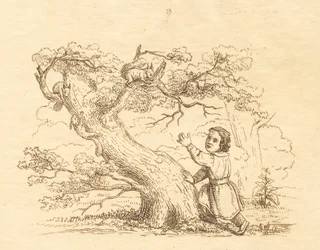 Illustrazione per "Cinquanta favole per bambini" di Hey