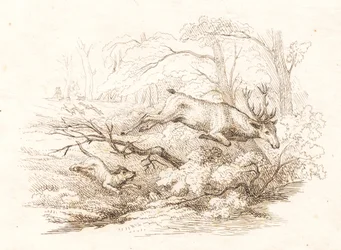 Illustrazione per "Cinquanta favole per bambini" di Hey