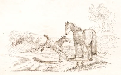 Illustrazione per "Halvhundrede Fabler for Børn" di Hey