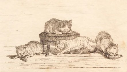 Illustrazione per "Cinquanta favole per bambini" di Hey