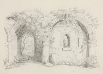 Rovine