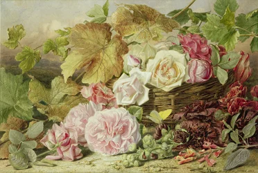 Peonie, rose e malvarosa