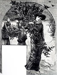 Incisione che raffigura la raccolta di agrifoglio e sempreverdi per le decorazioni natalizie. Illustrato da Mary Ellen Edwards