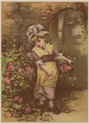 Ragazza che raccoglie rose