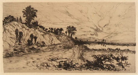 La costa della Florida