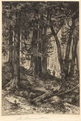 Senza titolo (Scena forestale)