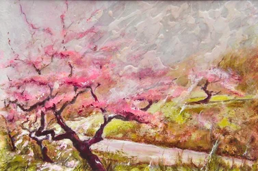 Fiori di mandorlo in montagna