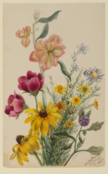 Gruppo di fiori