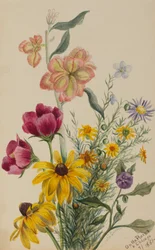 Gruppo di Fiori, 1881