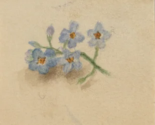 Senza titolo, 1874