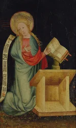 Vergine dell
