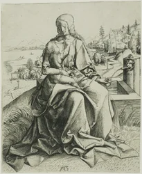 La Madonna della fontana