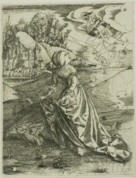 La donna con il gufo