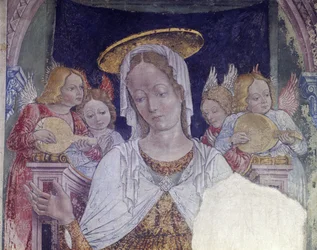 Italia, Regione Piemonte, provincia di Alessandria, affresco nella cappella della Basilica di Santa Maria Assunta