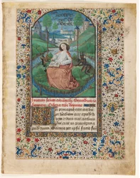 Foglia da un Libro d