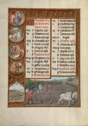 Pagina del calendario di settembre; Aratura e semina; Scorpione