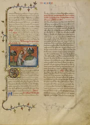 La creazione di uccelli e pesci