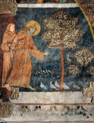 Predica agli uccelli