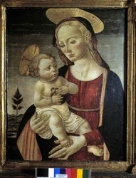 Immagine sconosciuta