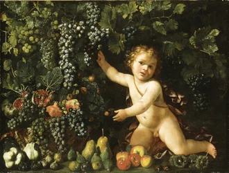 Uva sulla vite, melograni, uva e cinorrodi in un cesto, con fichi, mele, pere e castagne accanto a un putto